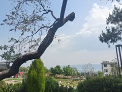 -云禾壹海景庄园餐厅