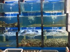 水产区-老东镇啤酒屋海鲜加工·蒸汽海鲜·海鲜烧烤(台东店)