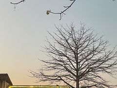 -喜洲吧·江畔老船厂·庭院餐厅(喜临院店)