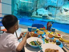 -帝企鹅自助餐厅•儿童岛•真企鹅(长隆企鹅酒店)