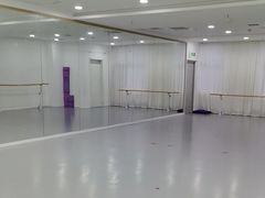 -西安小天鹅艺术团(金花路校区)