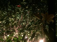 -花马天堂云南餐厅 Lost Heaven(高邮路店)