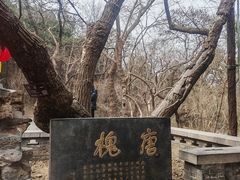 -千佛山风景名胜区