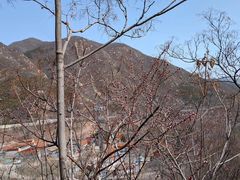 -居庸关长城