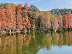 -广州市白云山风景名胜区