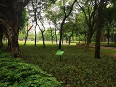 -顺峰山公园