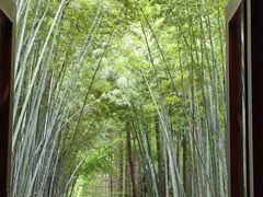 -同里国家湿地公园