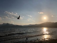 -抚仙湖禄充风景区
