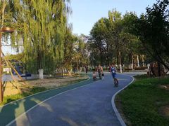 -回龙观体育文化公园