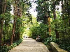 -天河潭旅游度假区