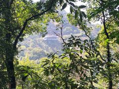 -广州市白云山风景名胜区