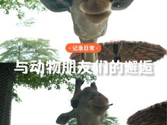 -灵玲国际马戏城