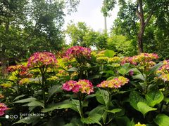 -观象山公园