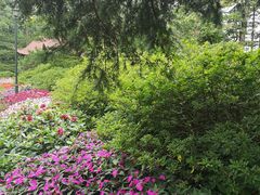 -庐山风景区花径公园