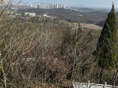 -镇江市南山风景名胜区竹林景区