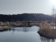 -山水一号·中餐厅