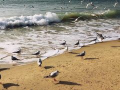 -海云台海滩