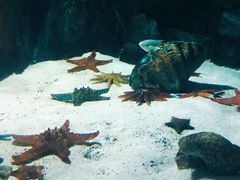 -福州罗源湾海洋世界旅游区