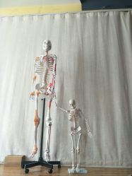 -FineYoga梵音瑜伽·普拉提