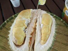 -榴莲BB 四季果园