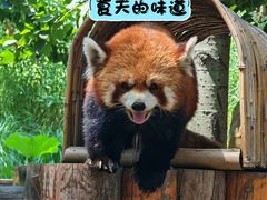 -北京野生动物园