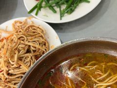 -杨记拉面总店