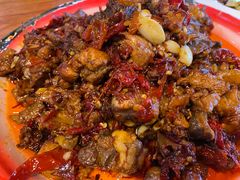 -柴窝堡22号辣子鸡·传承新疆菜