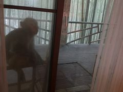 -重庆雨台山风景区