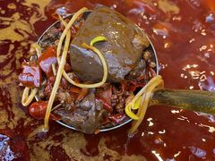 -五里关火锅(牛市口店)