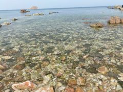 -养马岛旅游度假区