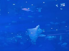 -成都浩海立方海洋公园