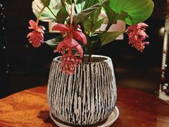 -广州花园酒店荔湾亭·地道点心·粤式饮茶