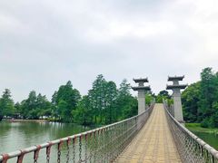 -东湖落雁景区