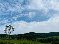 -龙洞风景区-藏龙涧