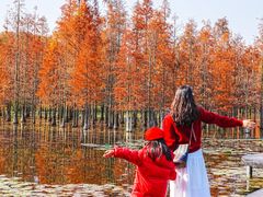 -白鹭湾湿地公园