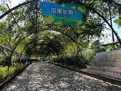-广州长隆飞鸟乐园