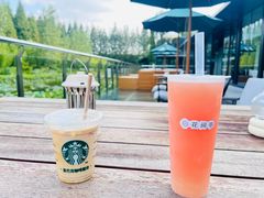 -黄海国家森林公园