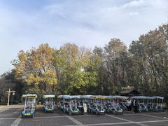 -洛阳市隋唐城遗址植物园