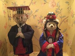 -济州岛泰迪熊博物馆