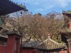 -报恩寺(平武县)