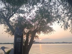 -丁香湖公园
