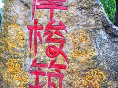-摩梭传统篝火晚会