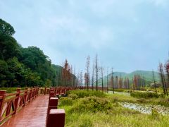 -广州市石门国家森林公园