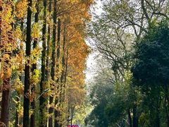 -岳麓山风景名胜区