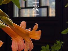 -苏州文旅姑苏小院·端善堂