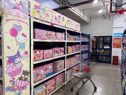 -逝水玩具折扣店