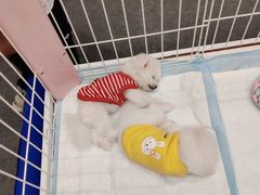 -风云再起游乐汇(北京西单西西友谊店)