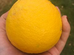 -山城老炮火锅城