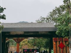 -南丹山森林王国
