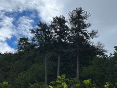 -玉渡山自然风景区